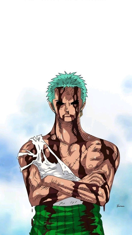 felpa zoro